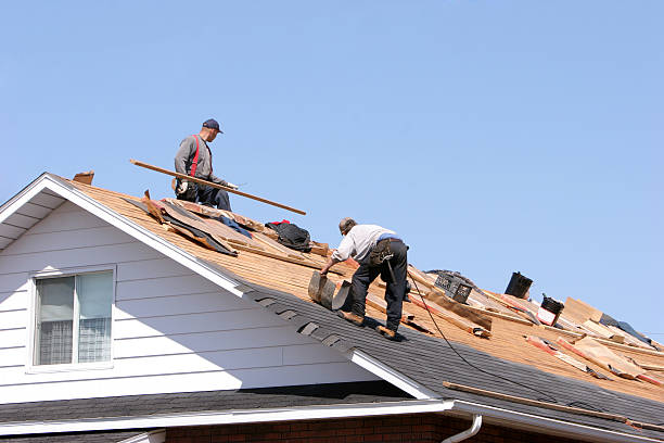 Best Skylight Installation and Repair  in Wray, CO